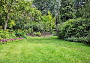 Optimiser l'expérience du jardin à Lintot-les-Bois